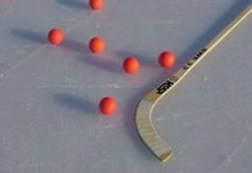 Хоккей с мячом. Украина может дебютировать на ЧМ-2012