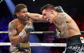 Стивенсон - Вальдес: видео лучших моментов титульного боя