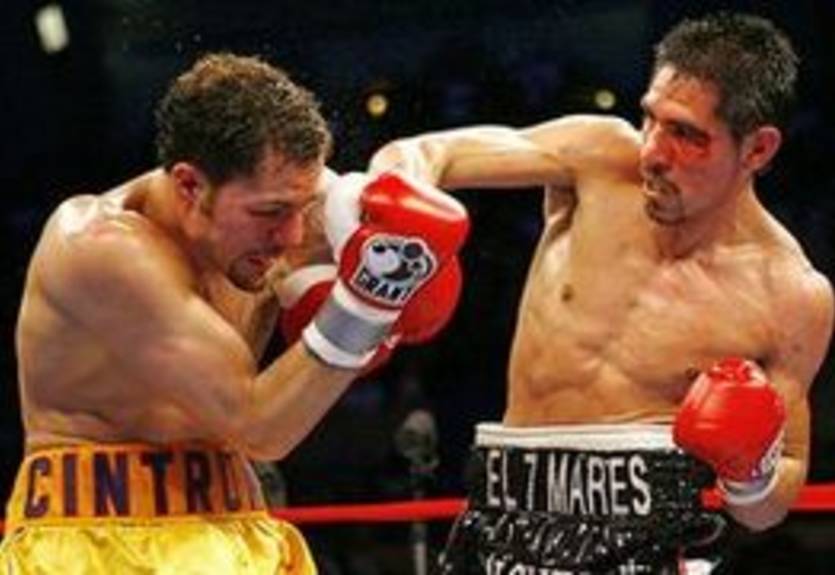 Бой Штурм-Цинтрон не состоится