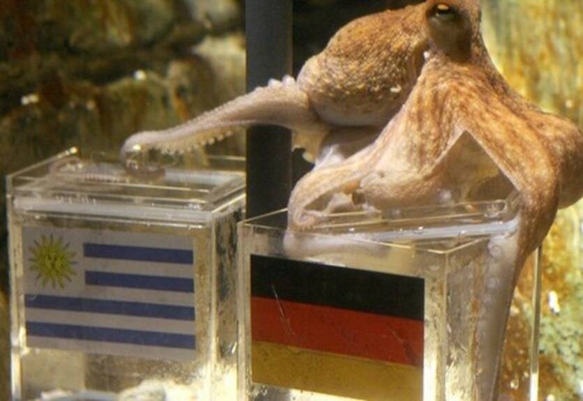 Чемпионат мира-2010. День 24-ый