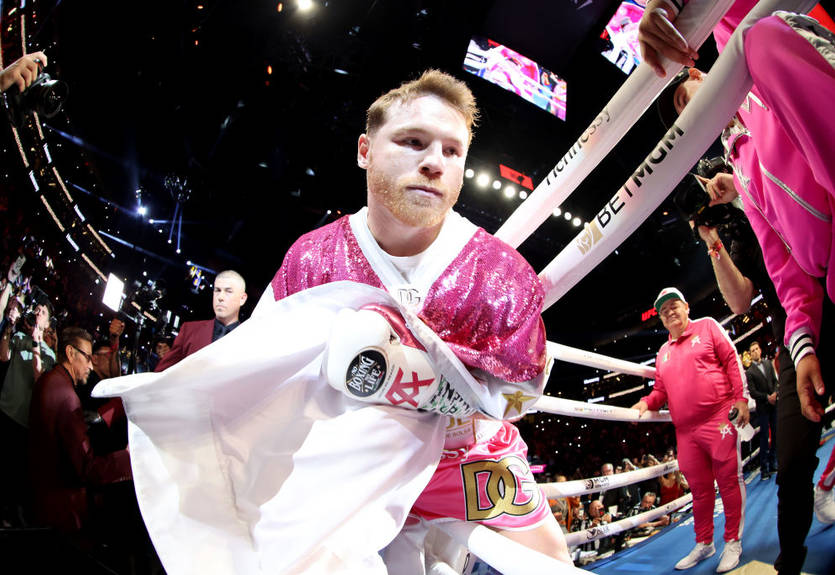 Рой Джонс отреагировал на поражение Канело от Бивола