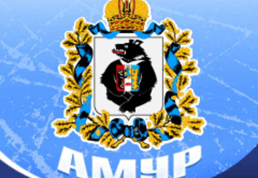 Руководство Амура подало в отставку