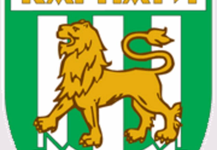 Карпаты в Австрии сыграют с Зенитом и Ростовом