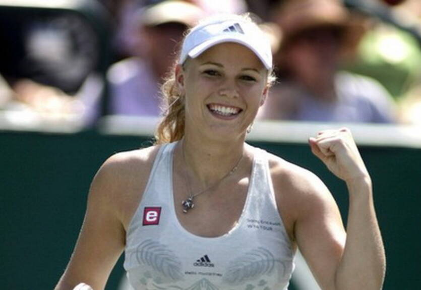 WTA Чарльтон. Звонарева и Возняцки выходят в 1/2 финала