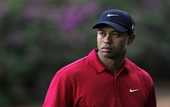 Гольф. Вудс сыграет на US Open