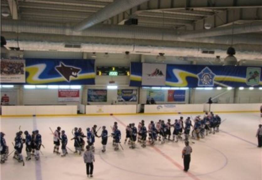 Чемпионат Украины: Донбасс уничтожен Соколом