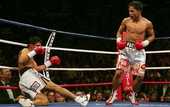 Арум: "У Мейвезера нет шансов против Паккьяо"
