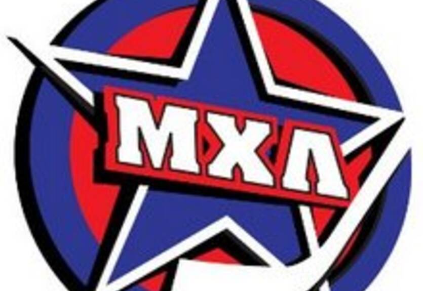 Сокол может войти в МХЛ