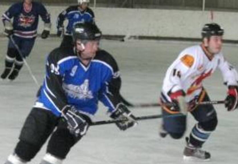 ХК Донбасс - ХК СДЮШОР-Вороны. Слова