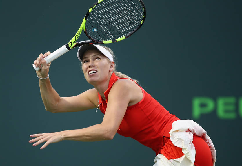 Майами (WTA): победы Возняцки и Плишковой в обзоре матчей игрового дня Майами (WTA): победы Возняцки и Плишковой в обзоре матчей игрового дня