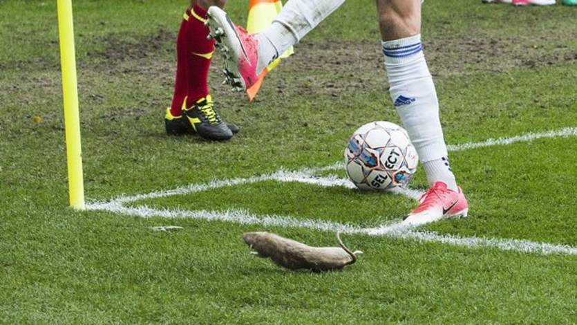 twitter.com/FourFourTweet