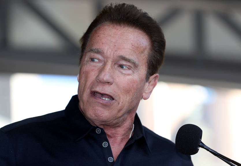 Шварценеггер надеется увидеть бой-реванш Кличко – Джошуа