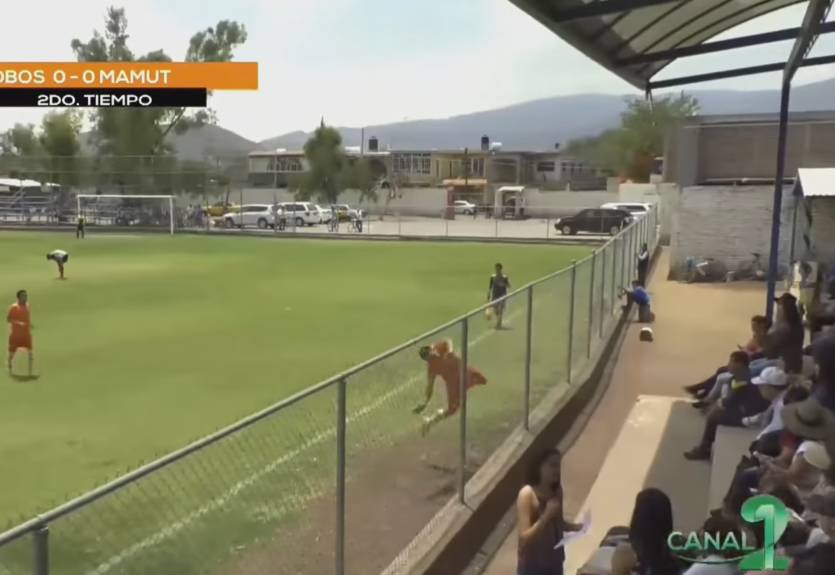 Мексиканский игрок едва не снес забор во время празднования гола Мексиканский игрок едва не снес забор во время празднования гола