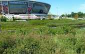 В Сети показали, как Донбасс Арена зарастает бурьяном