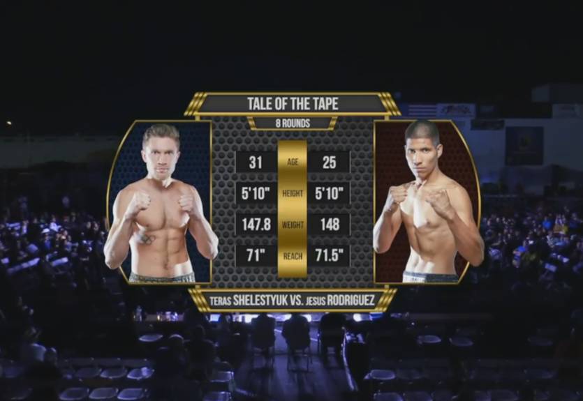 Шелестюк – Родригес: видео боя