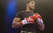ESPN: Джошуа и Пулев договорились о бое
