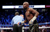 Мейвезер – Макгрегору: Рефери спас тебя