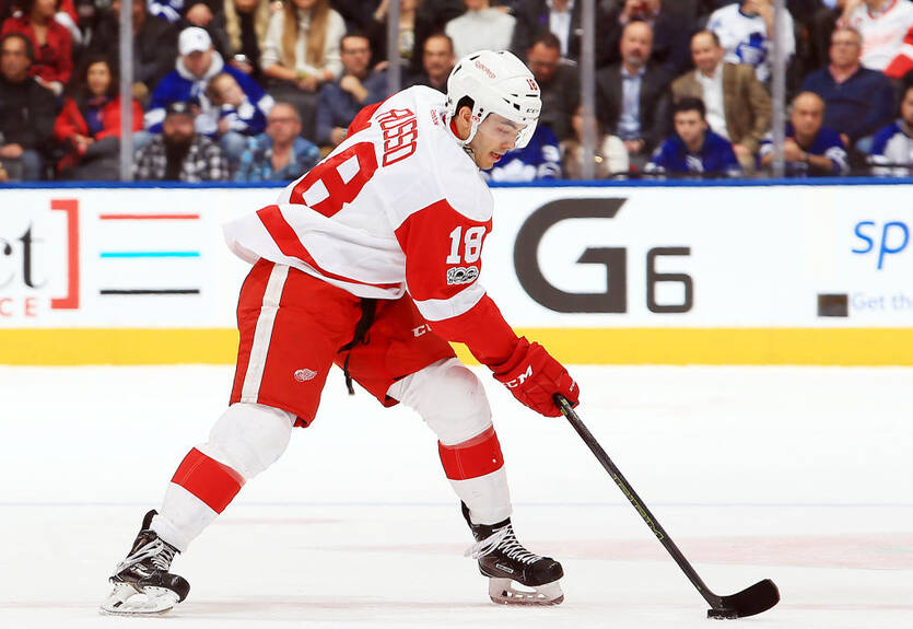 Детройт и Калгари подписали контракты с защитниками