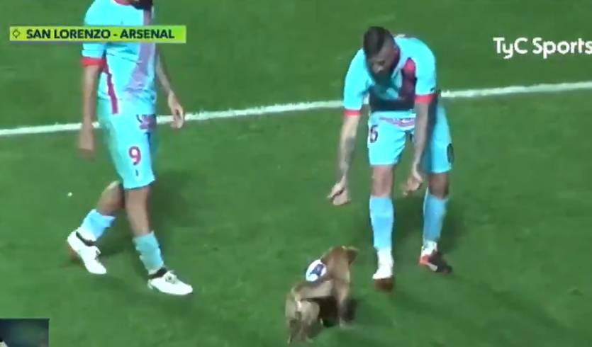 кадр из видео