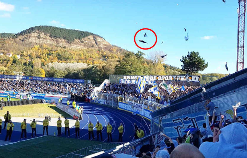 кадр из видео