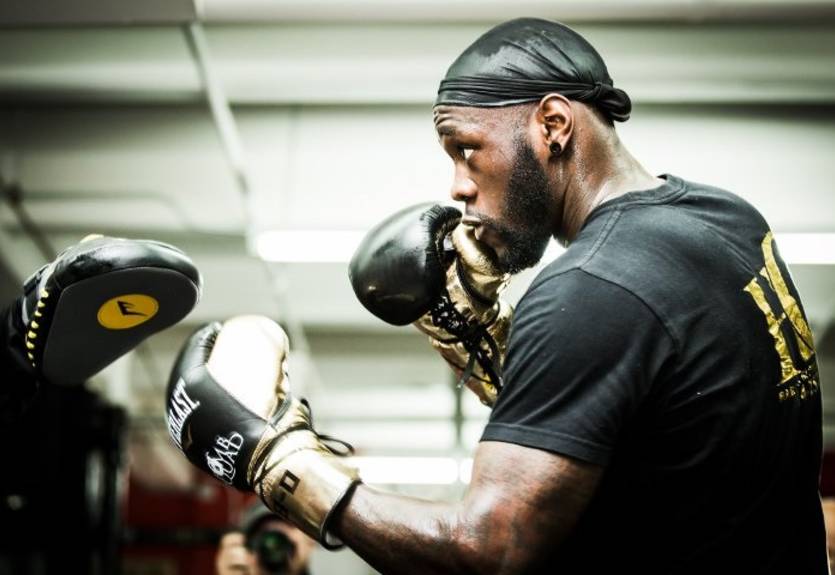 Уайлдер провел открытую тренировку накануне реванша со Стиверном