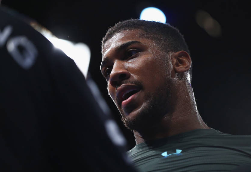 Хирн: Бой Джошуа – Уайлдер состоится в 2018 году