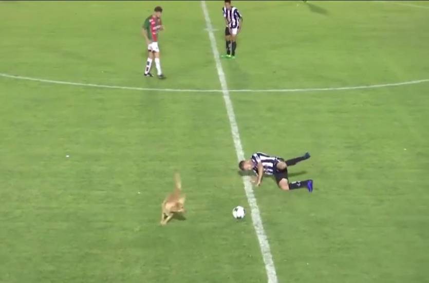 кадр из видео