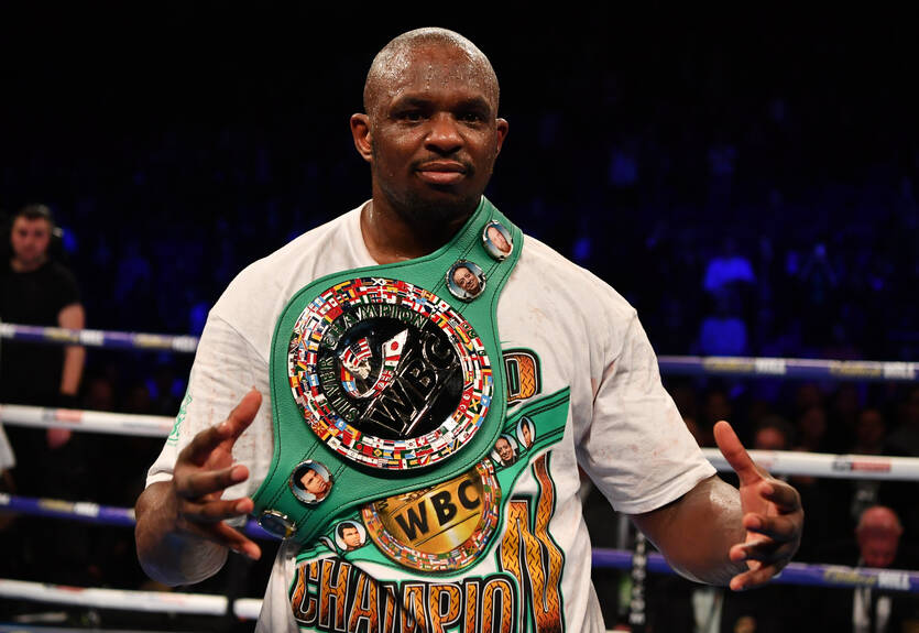 Уайт: У Уайлдера слабый подбородок, и его можно пробить