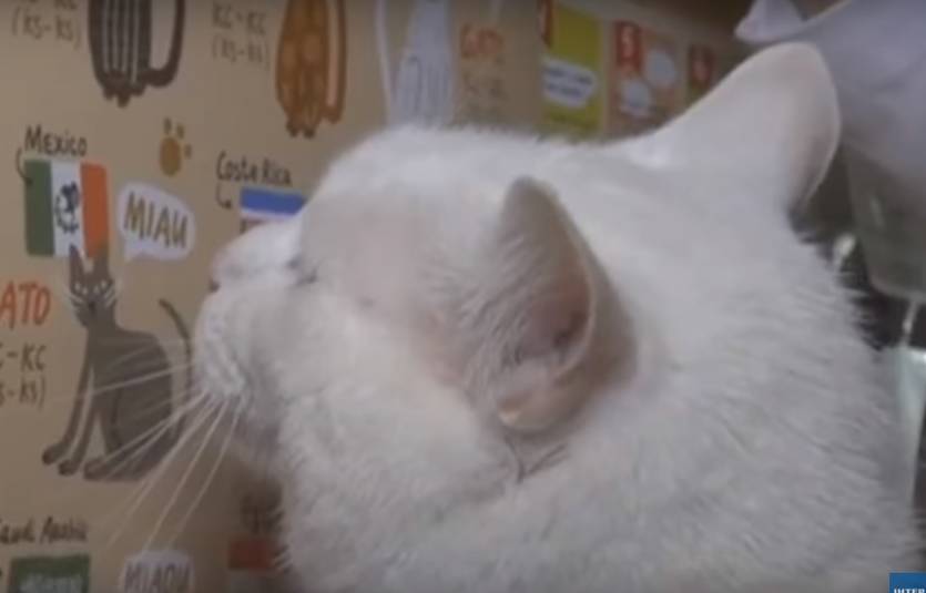 Телеканал Интер