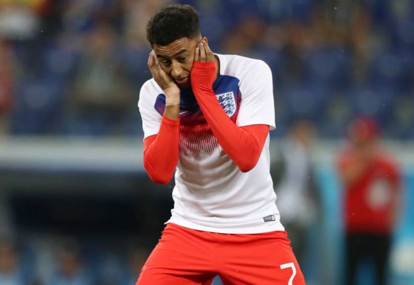 Перед матчем Англии с Тунисом Линдгарда атаковали мошки Перед матчем Англии с Тунисом Линдгарда атаковали мошки