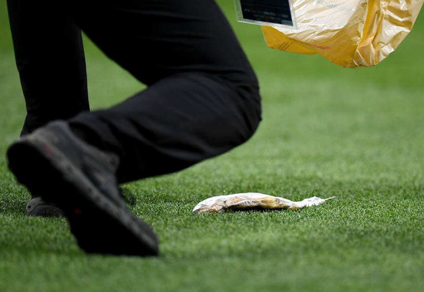 Фанаты на матче Англия – Хорватия выбросили на поле рыбу