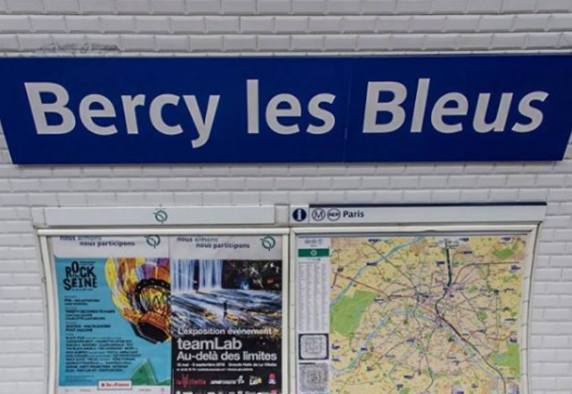 В Париже переименовали станции метро в честь победы на ЧМ-2018 В Париже переименовали станции метро в честь победы на ЧМ-2018