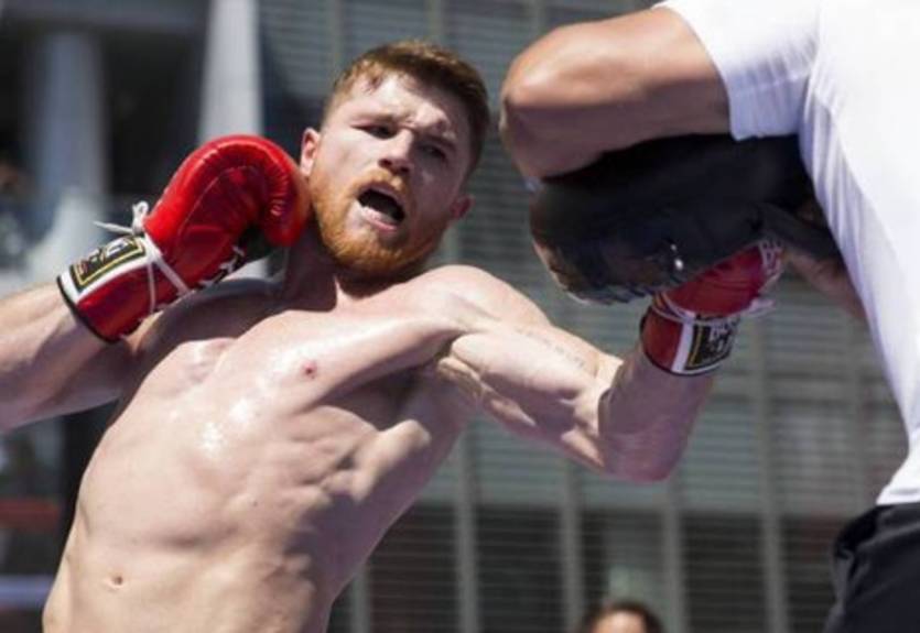 Выглядит как зверь: видео тренировки Альвареса к бою с Головкиным Выглядит как зверь: видео тренировки Альвареса к бою с Головкиным