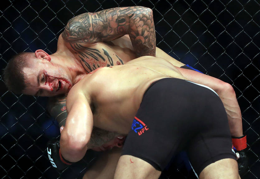 UFC on FOX 30: Порье нокаутировал Альвареса во втором раунде и другие результаты турнира
