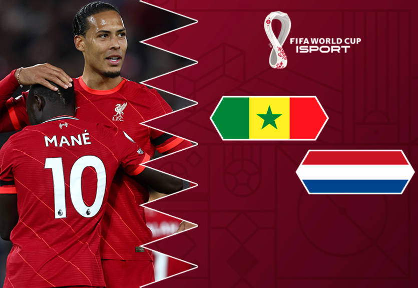 Сенегал - Нідерланди: прогноз на матч чемпіонату світу 21.11.2022