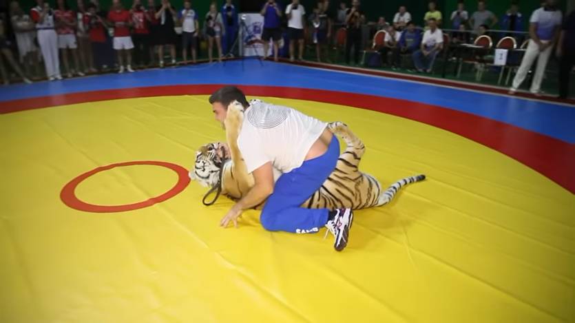 кадр из видео