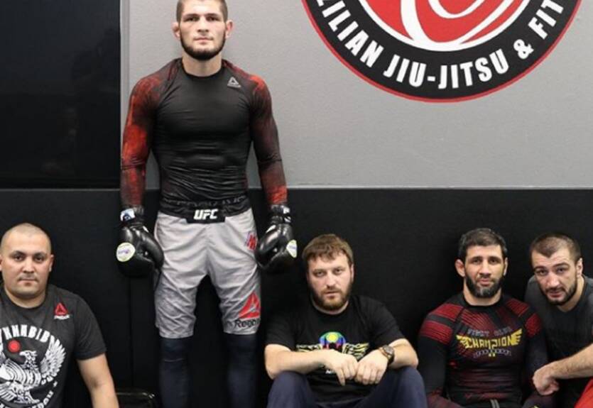 Нурмагомедов потроллил Макгрегора, выложив фото с изображением цыпленка