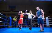 Хижняк, Шестак и Буценко стали чемпионами Украины по боксу