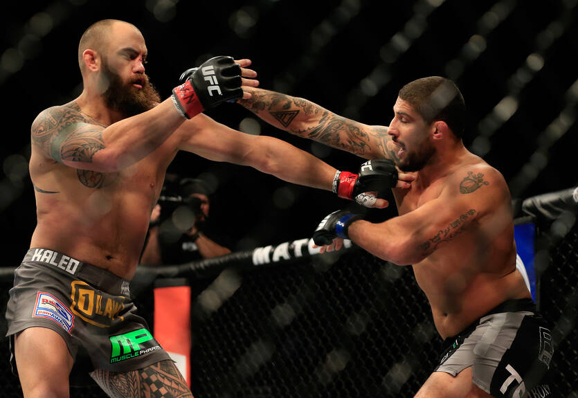 Шауб: Макгрегору предложили поединок с Серроне, а Хабибу – с Фергюсоном