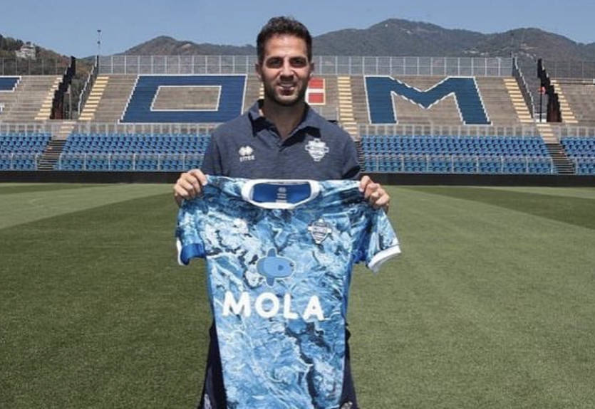 Фабрегас попытался отгадать бывших одноклубников по игровым лицам из футбольного симулятора FIFA Фабрегас попытался отгадать бывших одноклубников по игровым лицам из футбольного симулятора FIFA