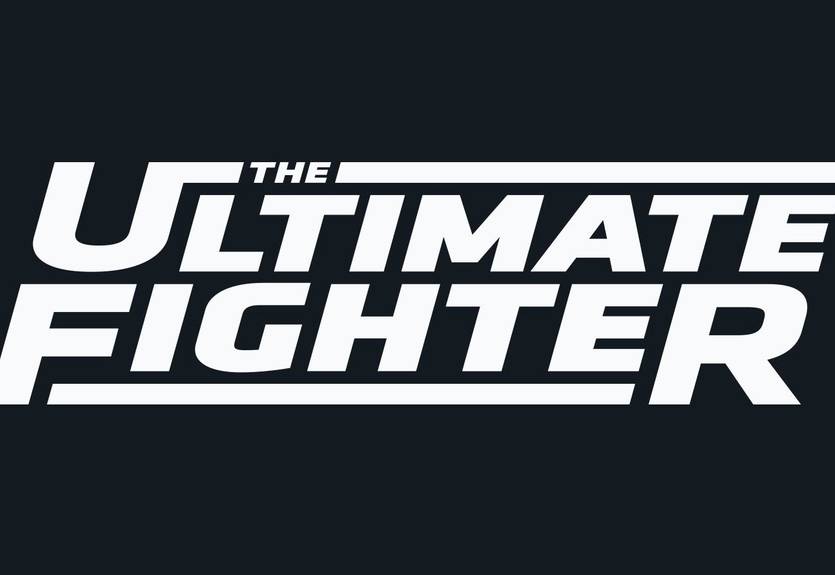 Гэтжи и Порье могли стать тренерами на TUF 31