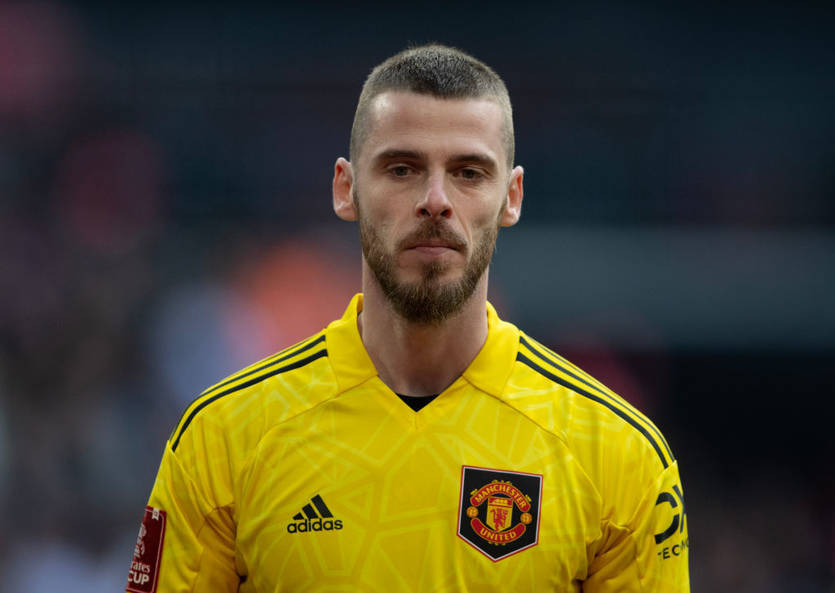 Давид Де Хеа / Getty Images