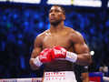 "Может снести голову": Джошуа предостерегли от боя с Уайлдером