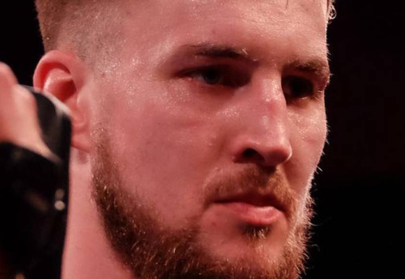 Определилась судьба реванша Валлин - Гассиев