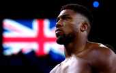Джошуа и Уайлдер проведут бои в рамках одного вечера бокса