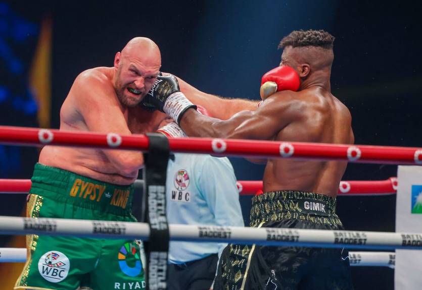 "Он будет претендентом": Нганну бросил вызов Фьюри