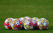Дизайн із тваринами: УЄФА показав м'яч для плей-оф Ліги чемпіонів Дизайн із тваринами: УЄФА показав м'яч для плей-оф Ліги чемпіонів