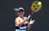 Костюк не сумела пробиться в основу Australian Open
