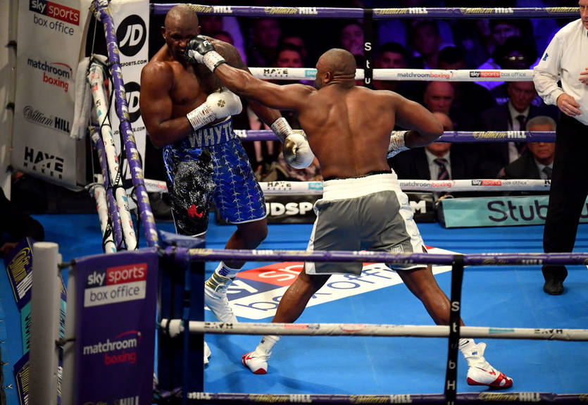 Уайт и Бризил выразили готовность провести поединок между собой