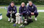 Игроки сборной Англии устроили соревнования для собак во время тренировки перед Евро-2024
